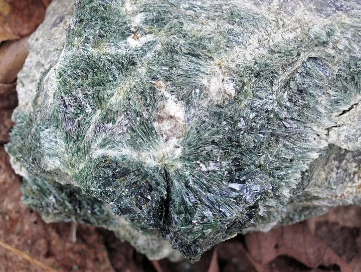 Actinolite