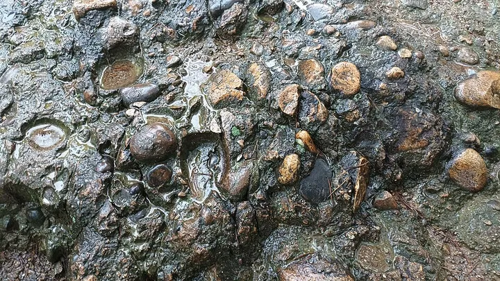 Conglomerate