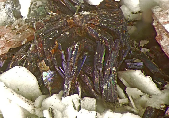 Eudialyte