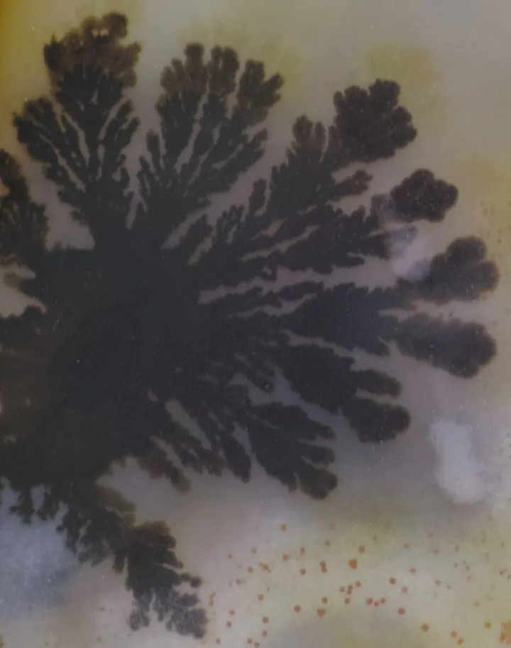 Moss Agate