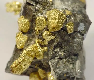 Gold