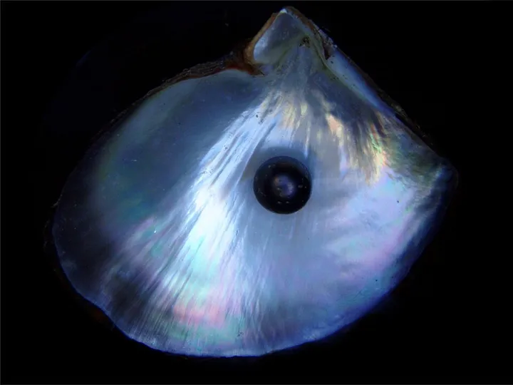 Pearl