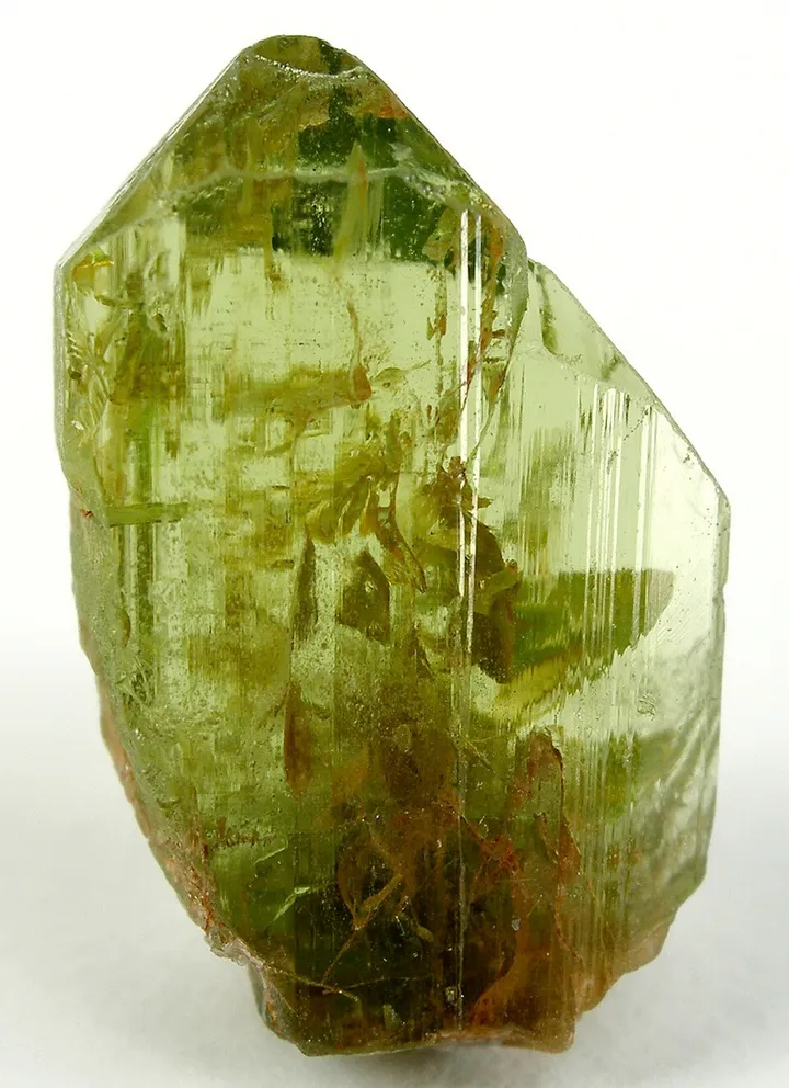 Leo