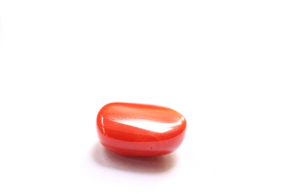 Red Coral