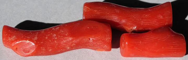 Red Coral