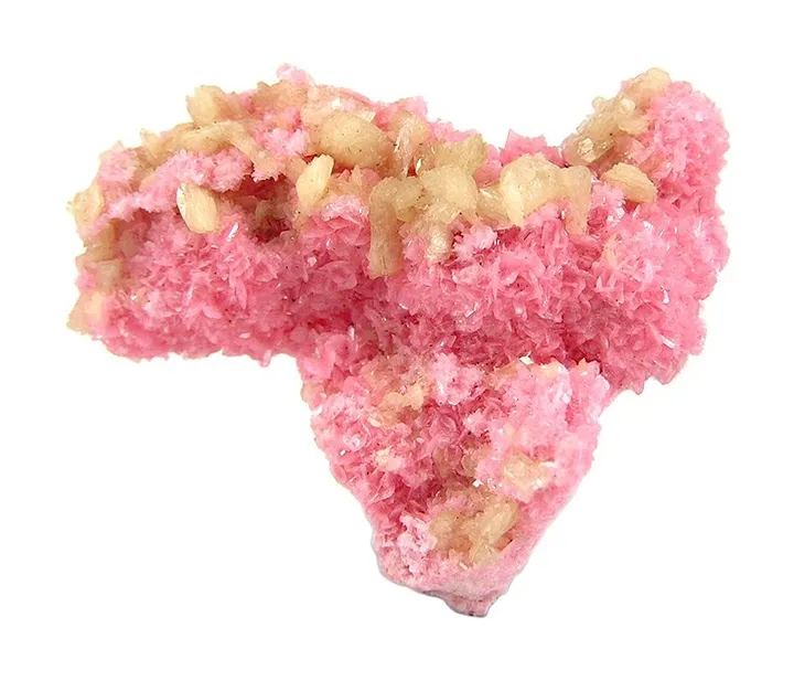 Rhodonite