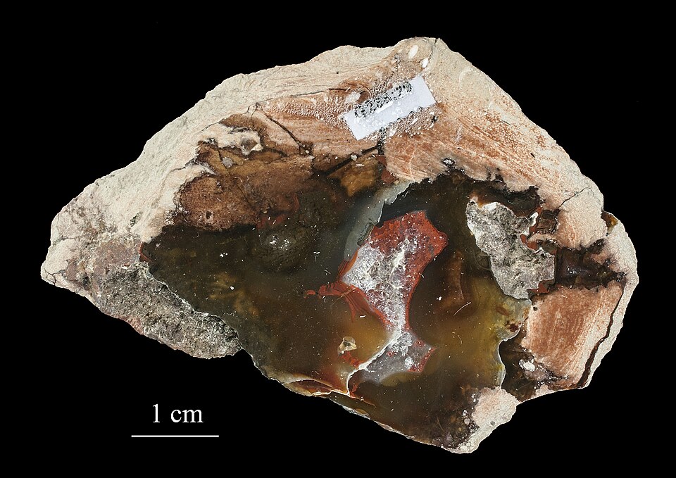 Rhyolite