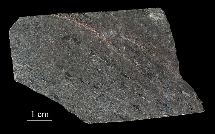 Riebeckite