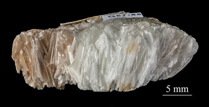 Scolecite