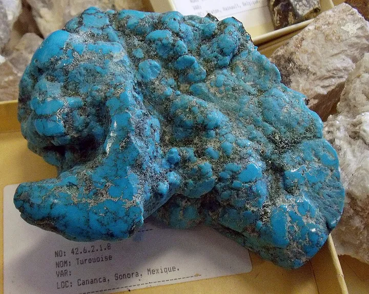 Turquoise