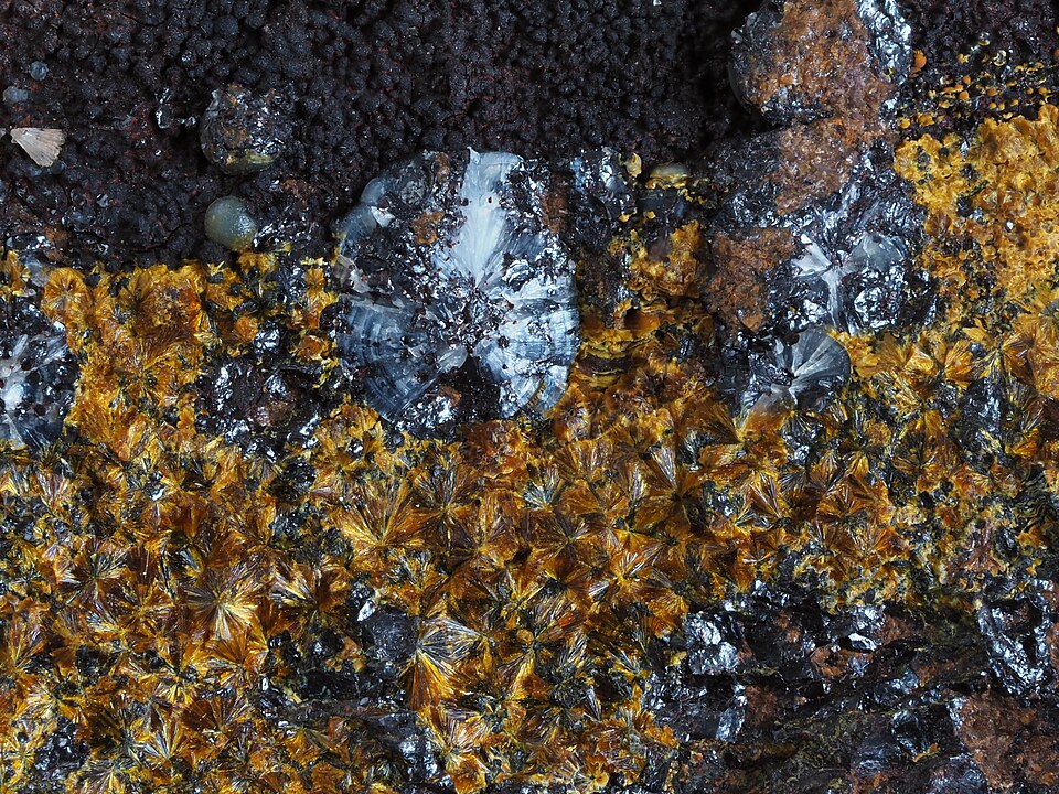 Variscite