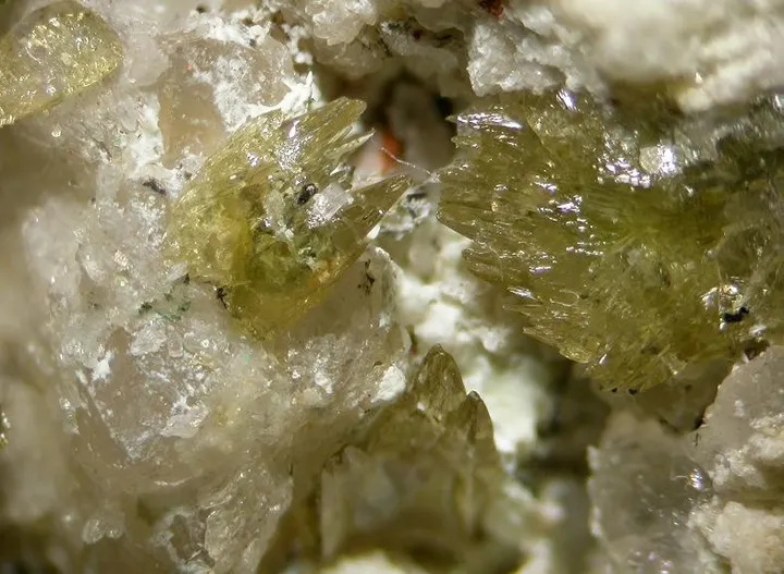 Powellite